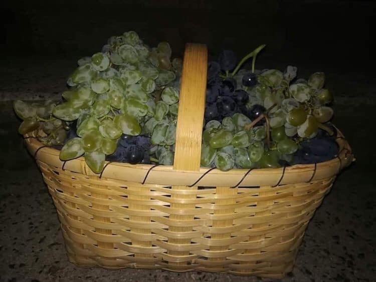 Hotel Oniks Kutaisi Zewnętrze zdjęcie